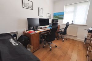 HAZEL MEWS- click for photo gallery